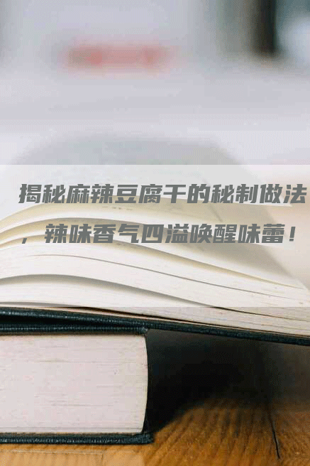 揭秘麻辣豆腐干的秘制做法，辣味香气四溢唤醒味蕾！